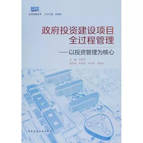 正版9成新图书丨 政府投资建设项目全过程管理
