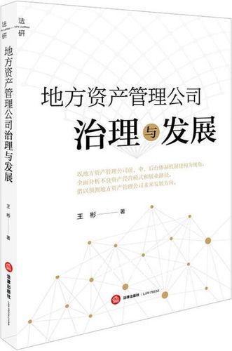 地方资产管理公司治理与发展 王彬著 法律出版社